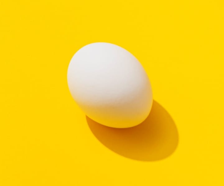 egg photo with yellow background